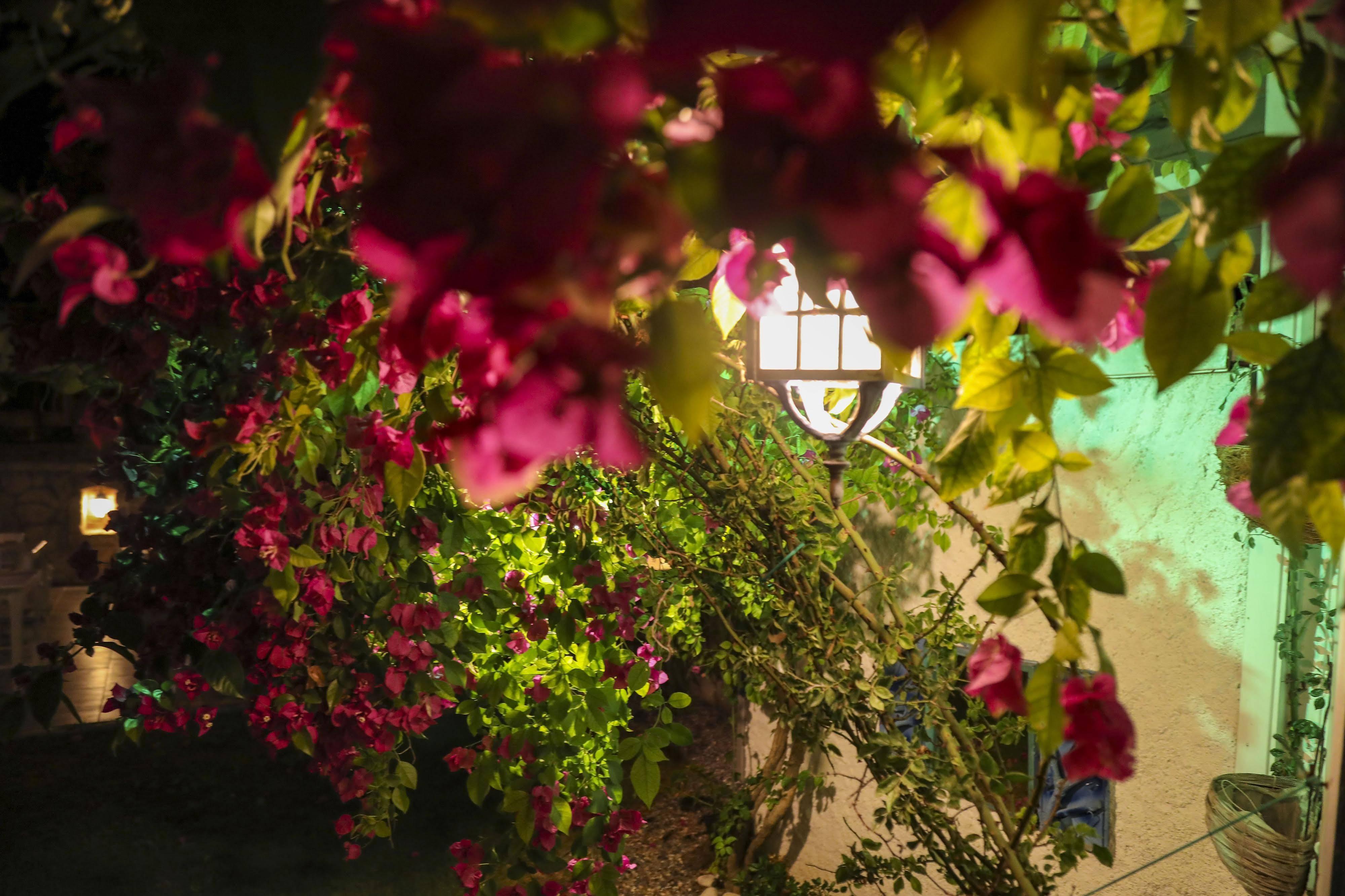 Sari Gelin Alacati Hotel Экстерьер фото